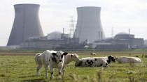 داعش تقتل حارس محطة كهربائية نووية في بلجيكا وتستحوذ بطاقته الالكترونية لتنفيذ تهديدها بتفجير المحطة النووية
